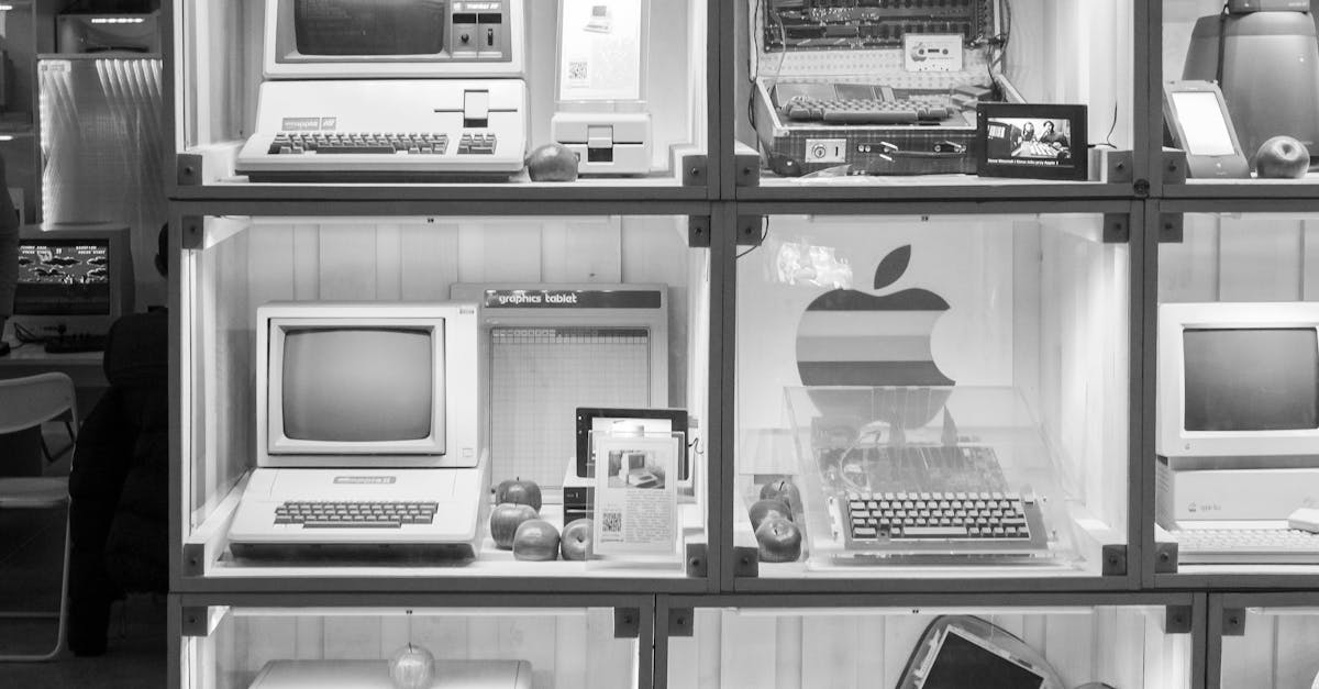 The Impact of Visual Hierarchy on Audience Perception in Exhibition Design